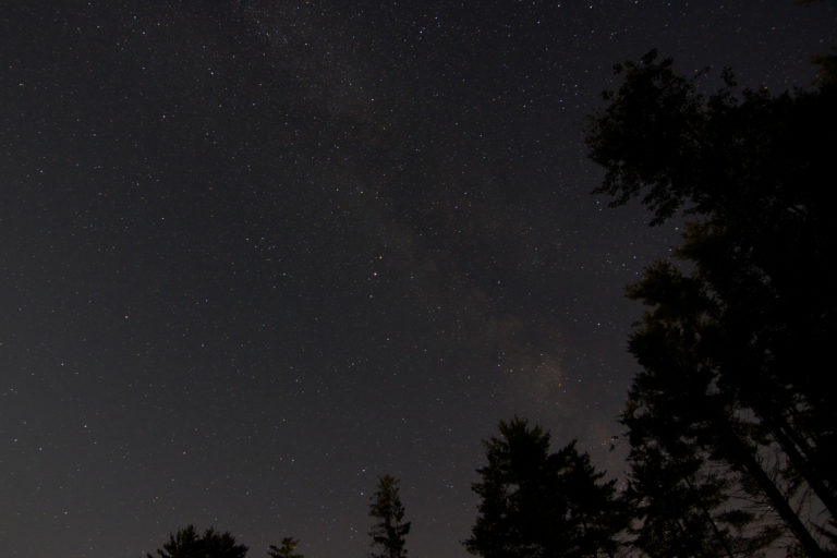 Faint Milky Way Over Trees