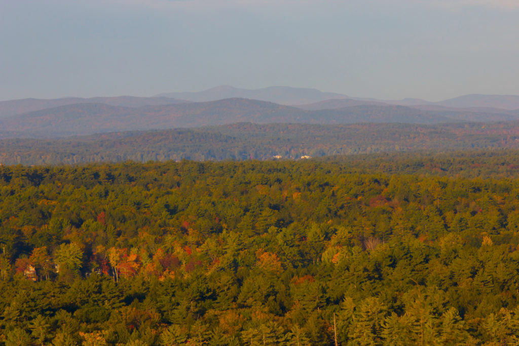 An Autumn Scene