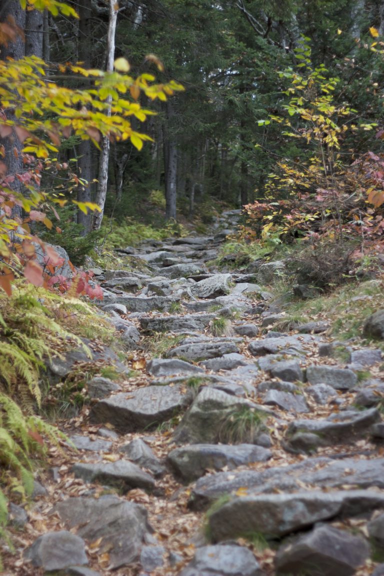 Rocky Trail Hiking