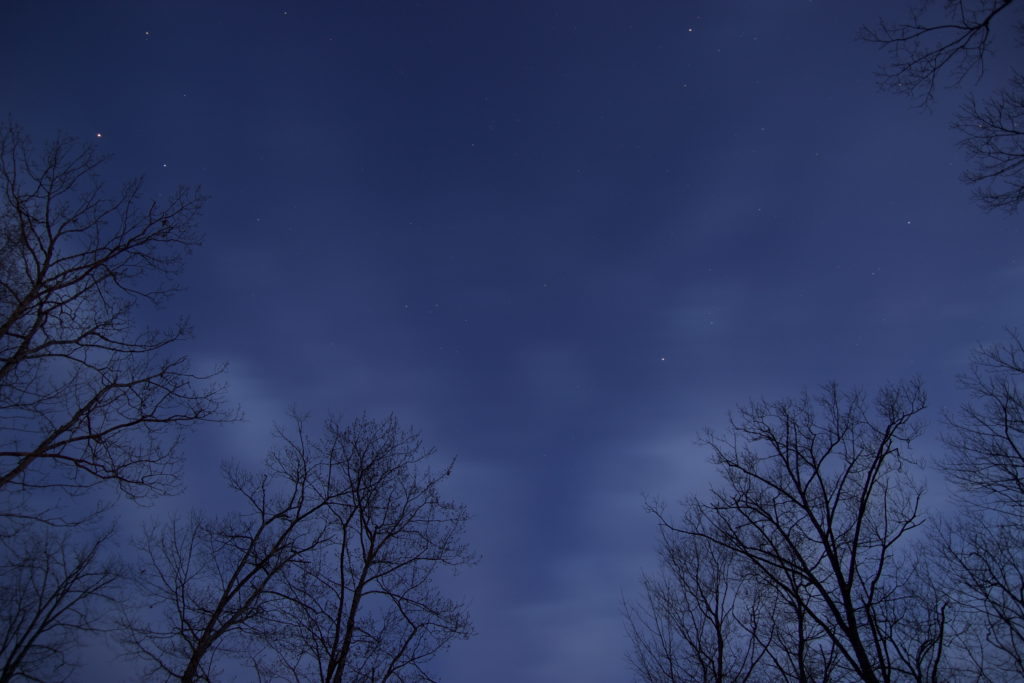 Starry Moonlit Sky