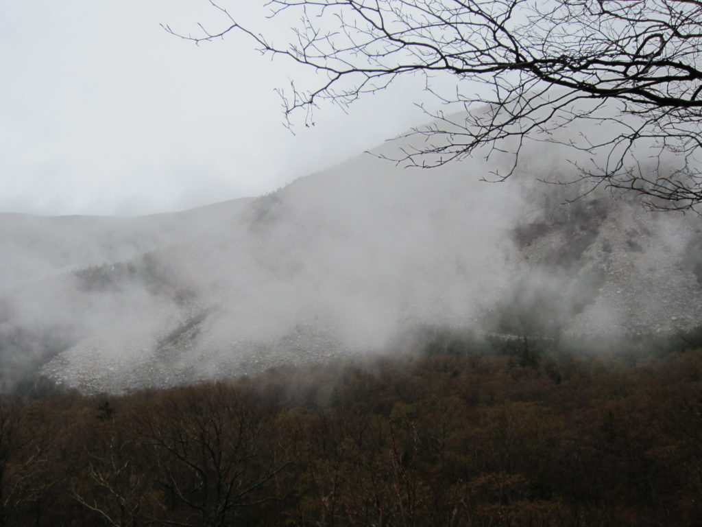 Misty Mountains and Trees