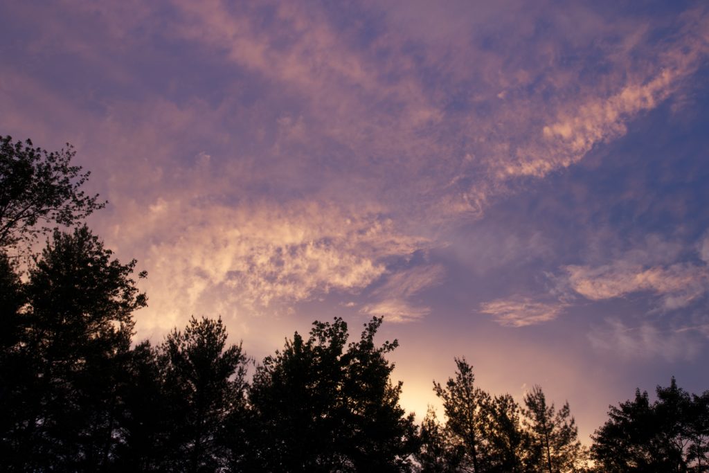 Sunset Clouds Over Trees