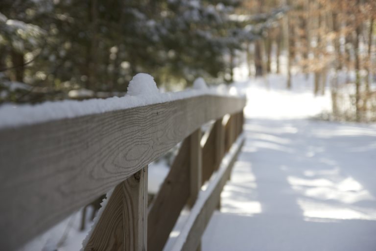 Fresh Snow on Hiking Path