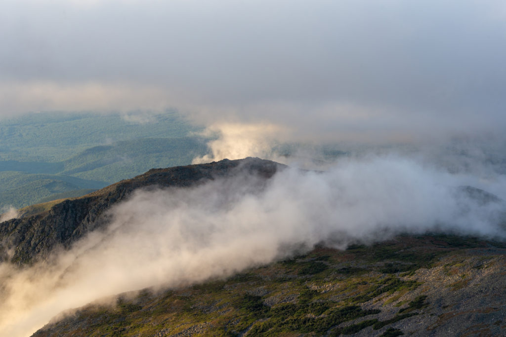 Fog Covering Mountain Slope