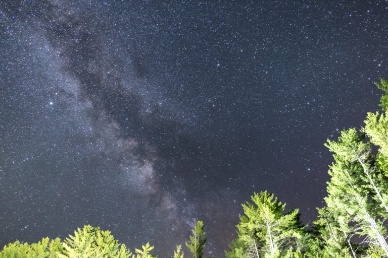 Milky Way Over Bright Trees