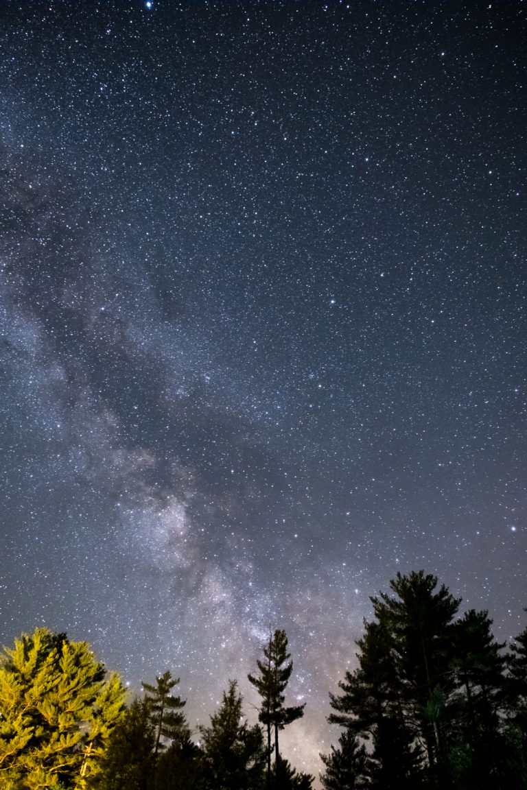 Vibrant Milky Way and Trees