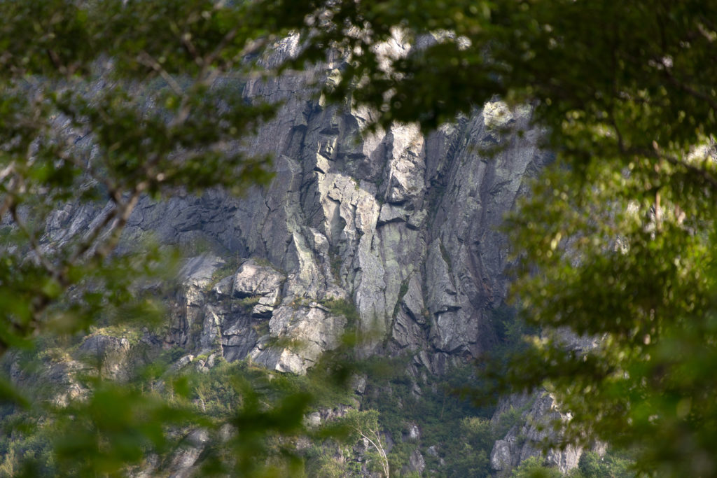 Rocky Cliffs Through the Trees