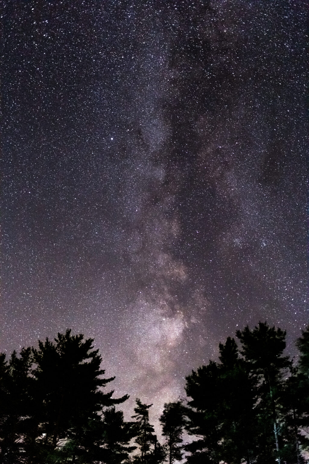 Incredible Milky Way With Trees