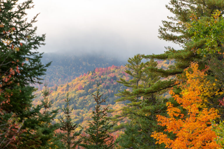 Majestic Autumn Forest and Clouds