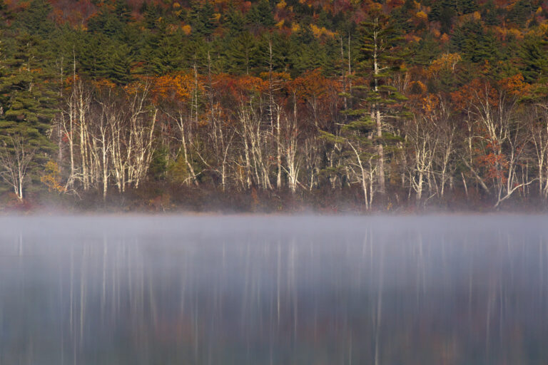 Scenic Lake Reflection