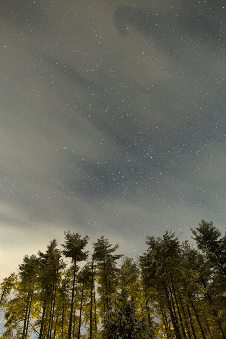 Tall Pines and Faint Stars