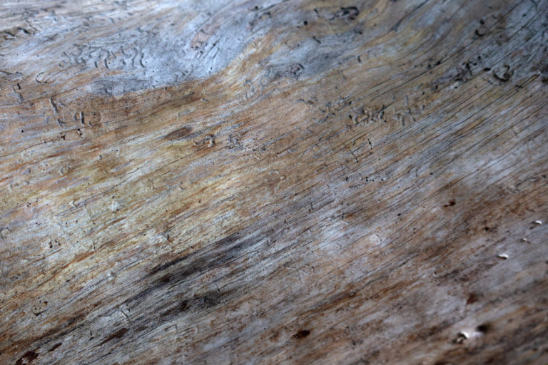 Abstract Wood Texture