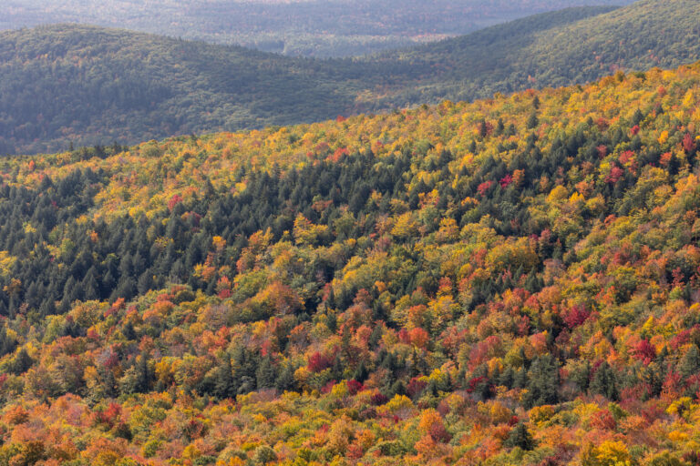 Colorful Fall Landscape