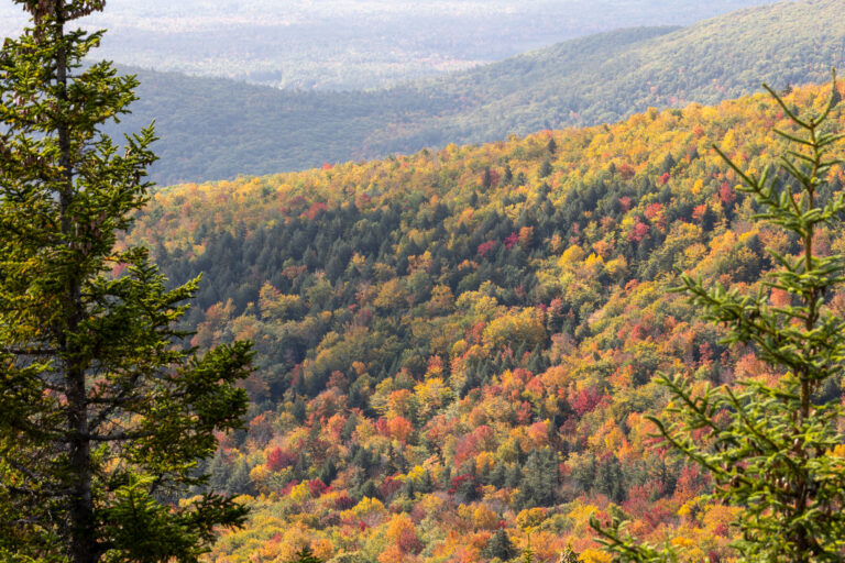 Autumn Mountain Landscape