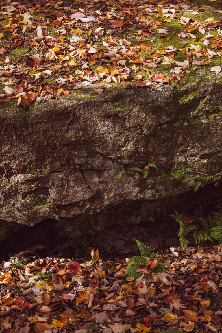 Autumn Hiking Trail