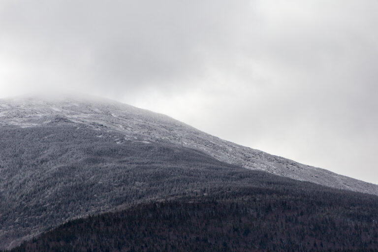 Frosty Winter Landscape