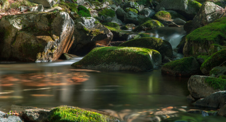 Rocky Stream in the Summer