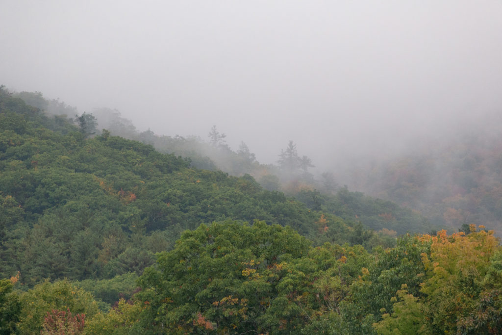 Misty Mountainside