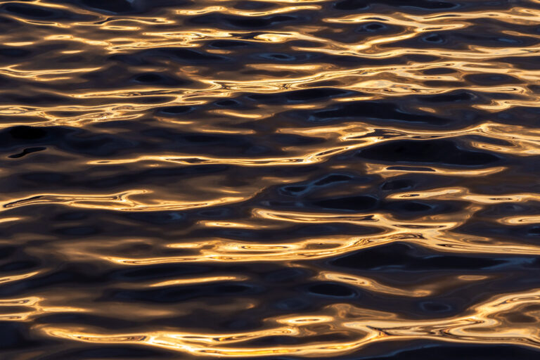 Sunlit Waves