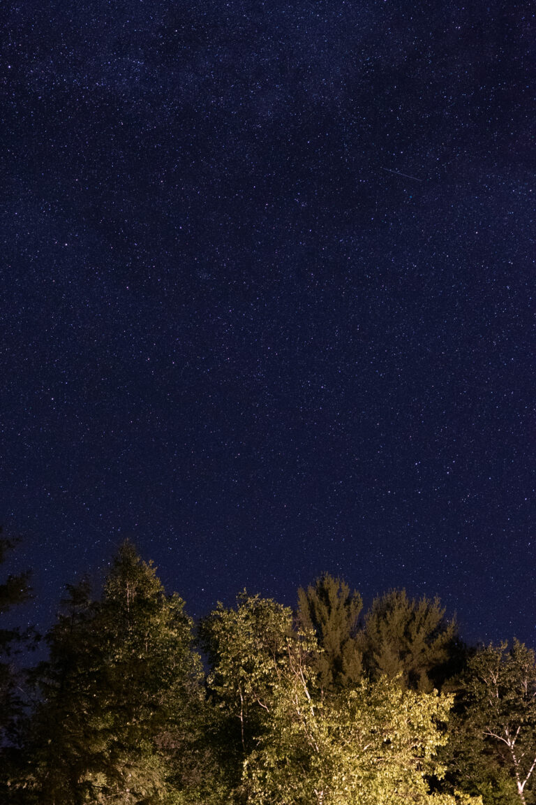 Stars and Illuminated Trees