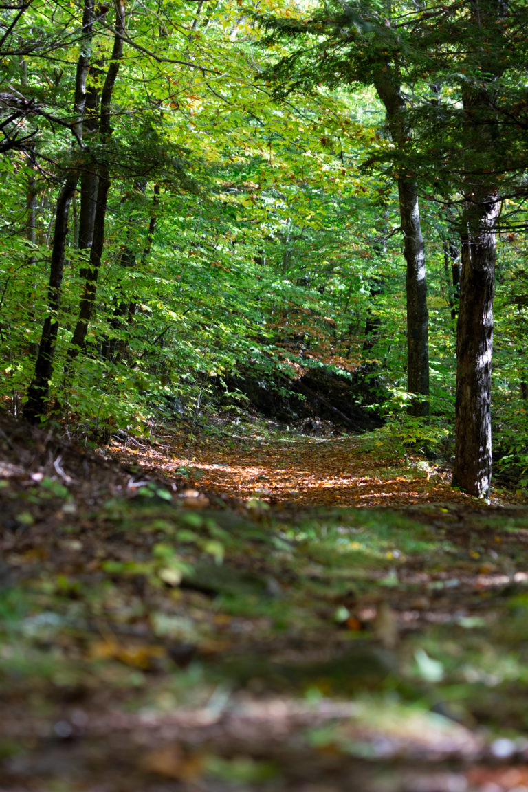 Wide Hiking Trail