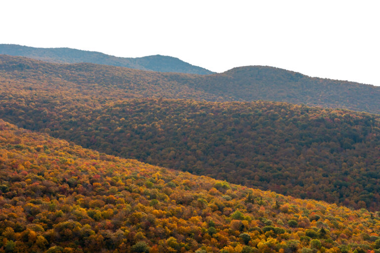 Rolling Hills in Autumn