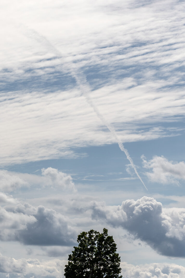 Isolated Tree Below Clouds