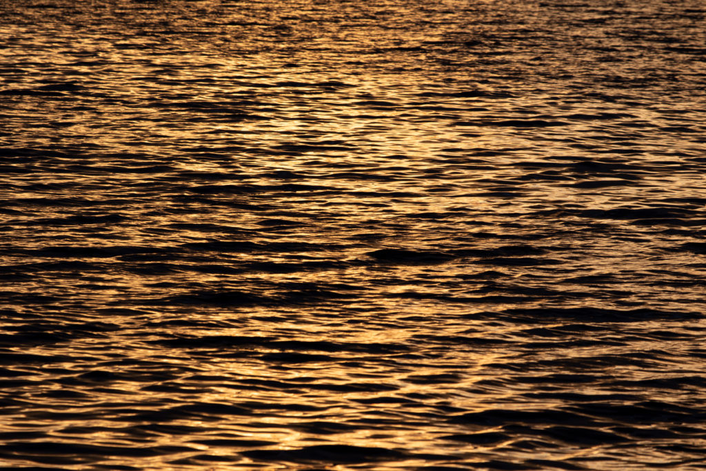 Golden Reflections