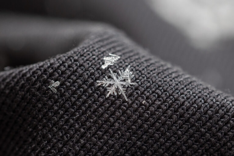 Macro Snowflake