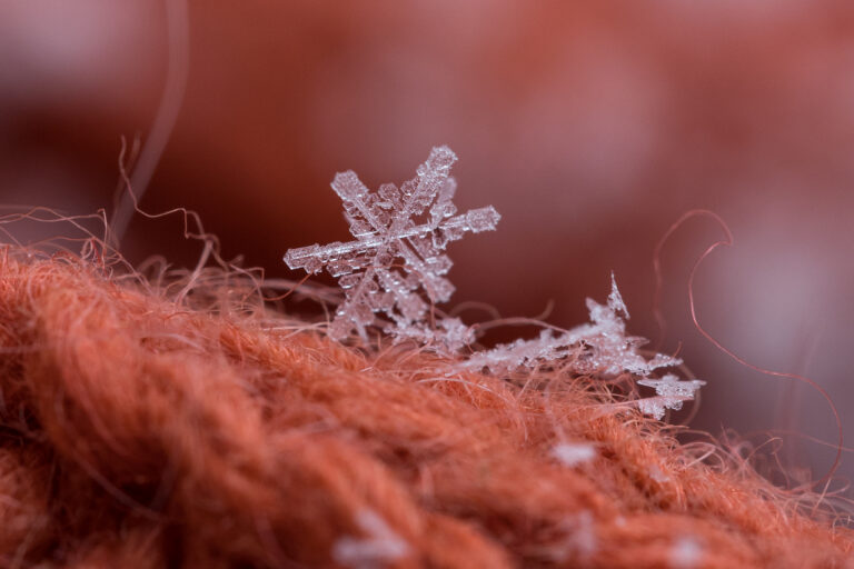 Macro Snowflakes