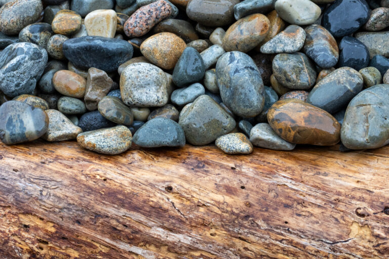 Ocean Rocks and Timber