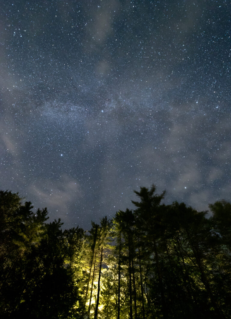 Stars Above a Glowing Forest