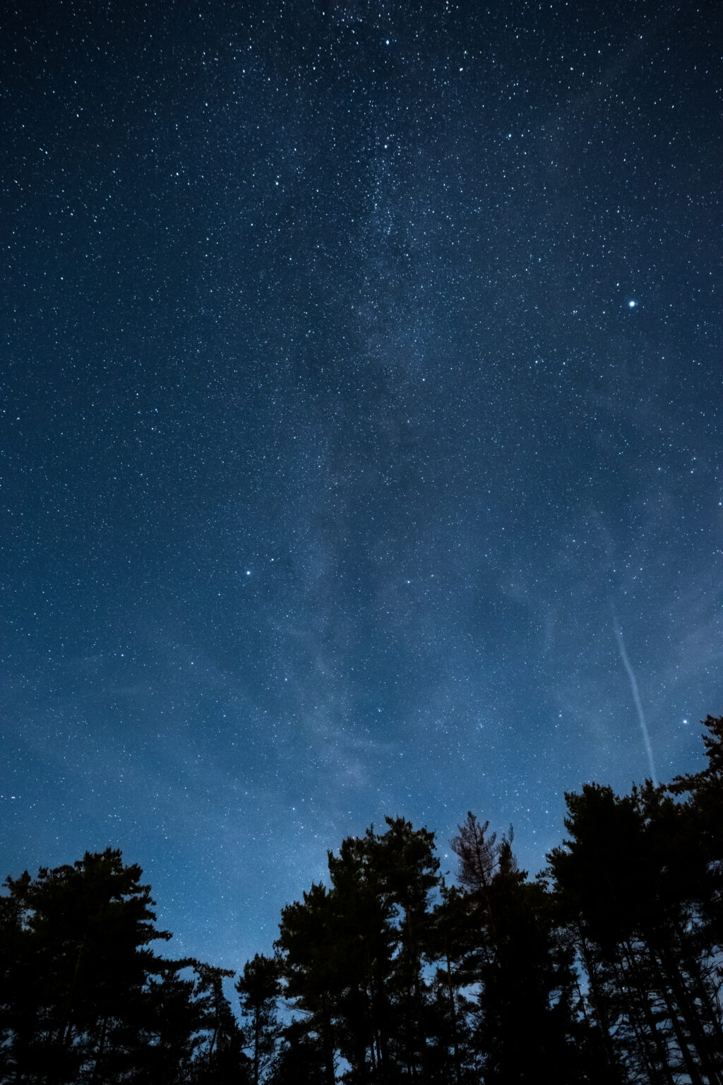 Stars and Clouds Over Tree Silhouettes