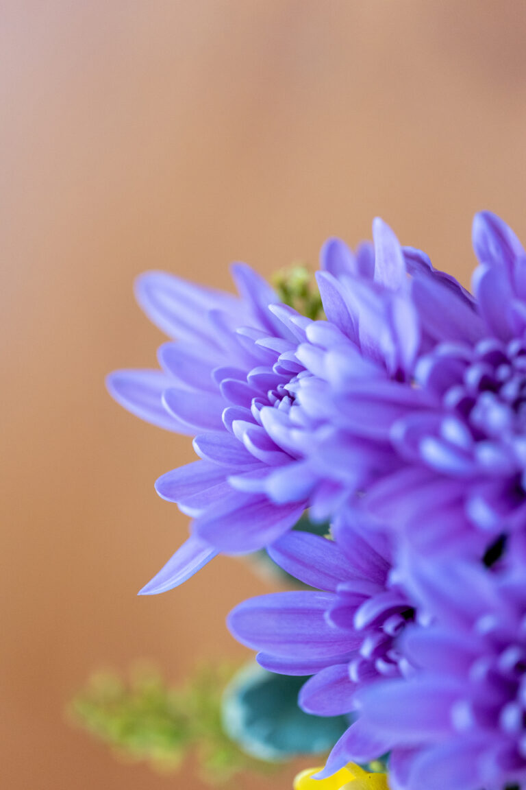 Pretty Blue Flowers