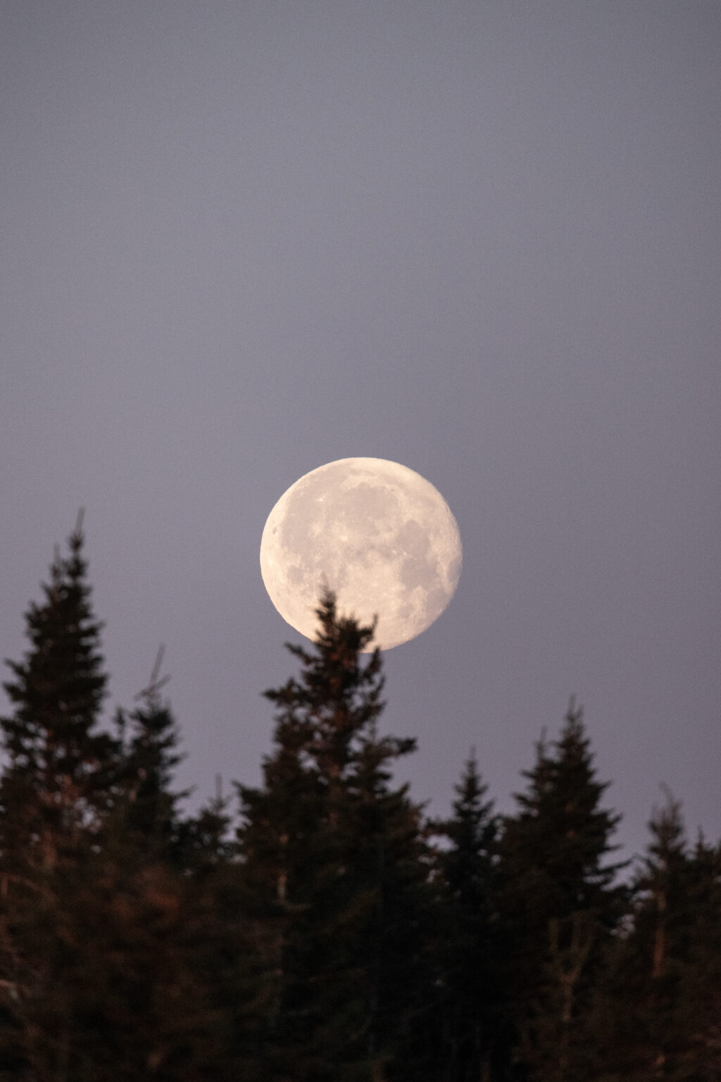 Moon at Dusk