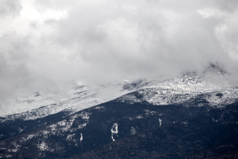 Snowy Winter Landscape