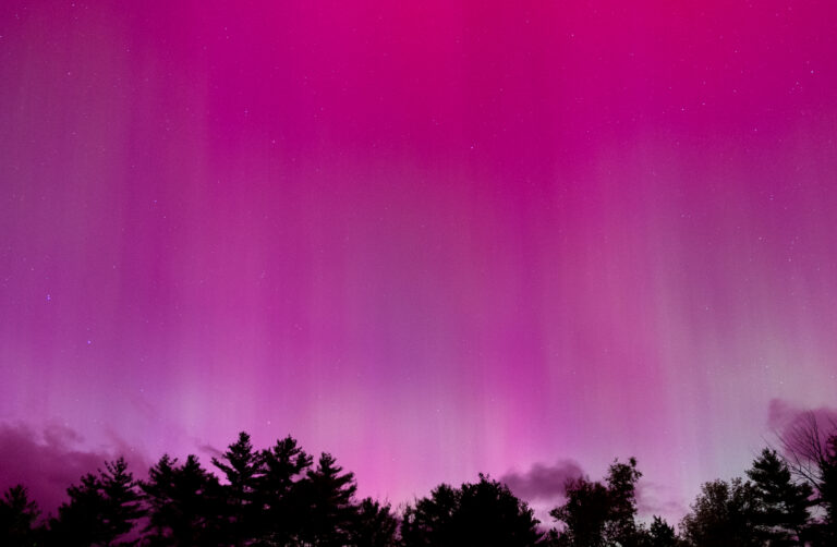 Aurora Borealis Above Trees