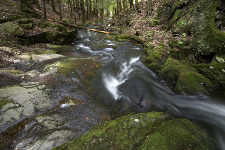 Mossy Stream