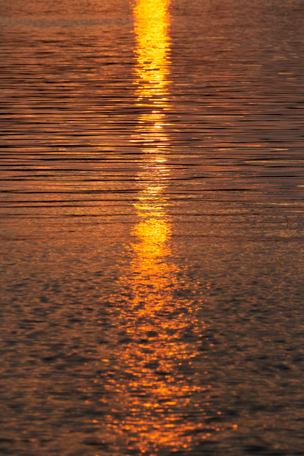 Sunset Reflection