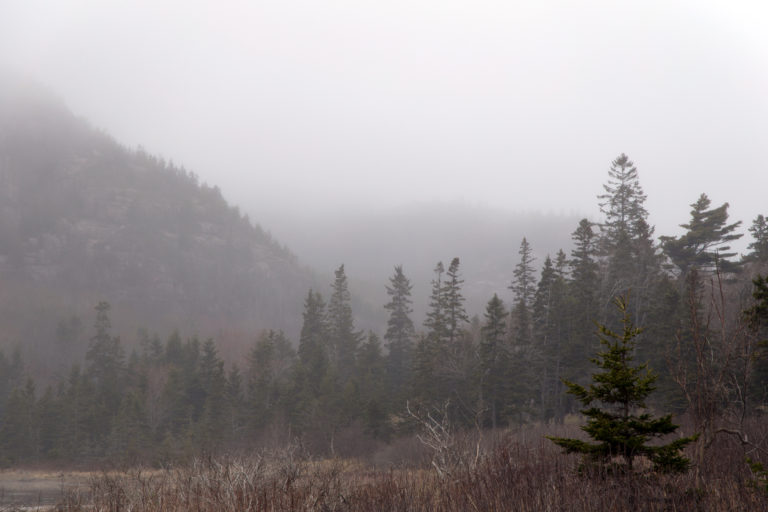 Foggy Mountain Valley