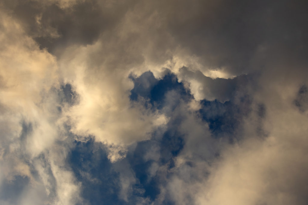 Curl of Clouds