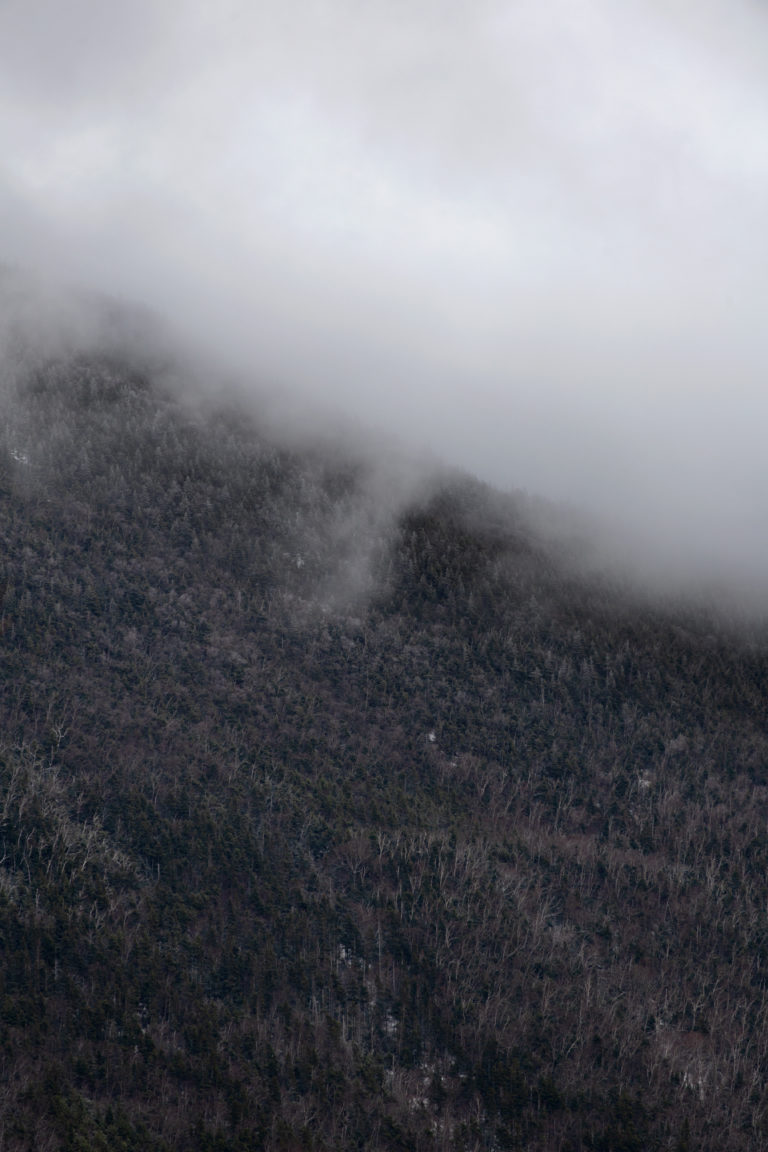 Fog Descending on Hillside