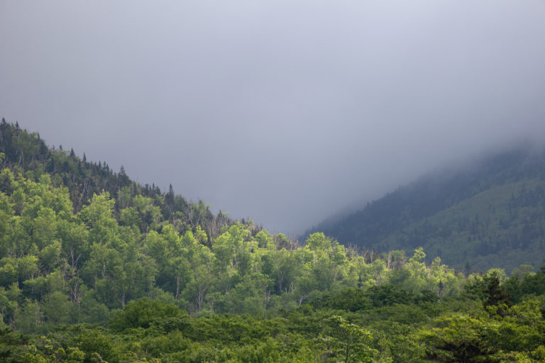 Heavy Humidity