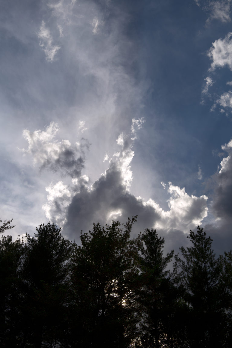 Bright Clouds Rising Up Over Silhouetted Trees