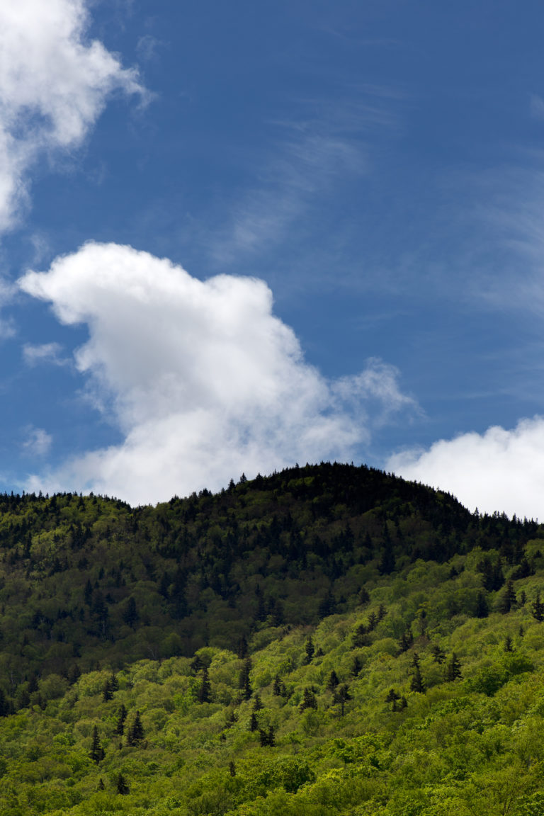 Rolling Hill Under Summer Sky