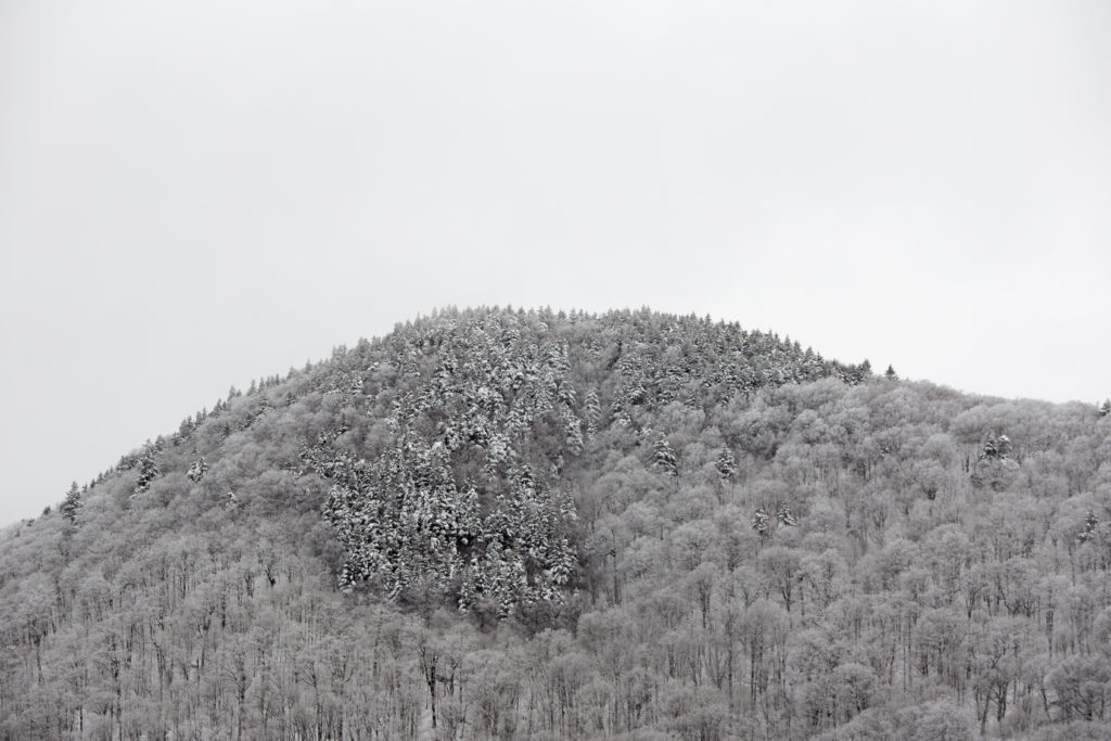 Frosted Mountaintop