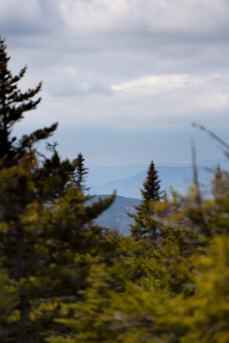 Through the Trees, The Mountains Beyond