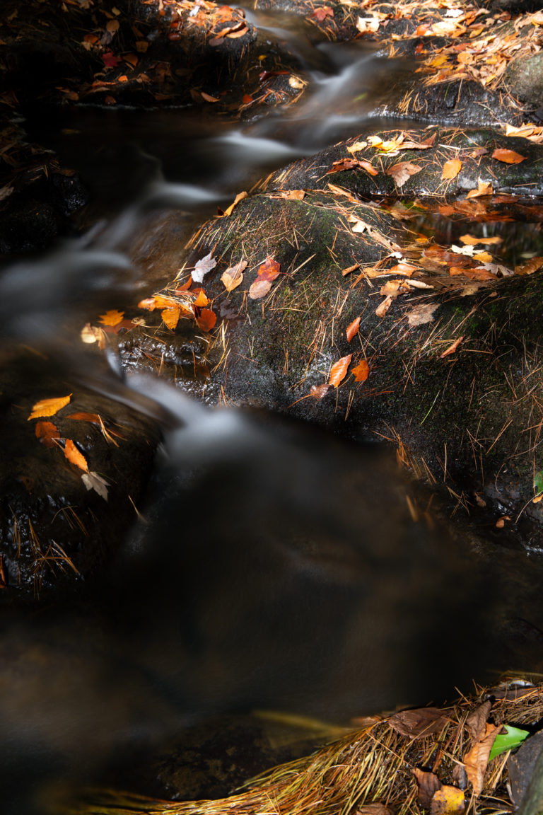 Stream in Fall