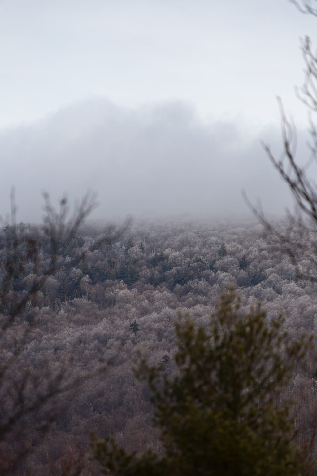 Cold, Desolate Landscape