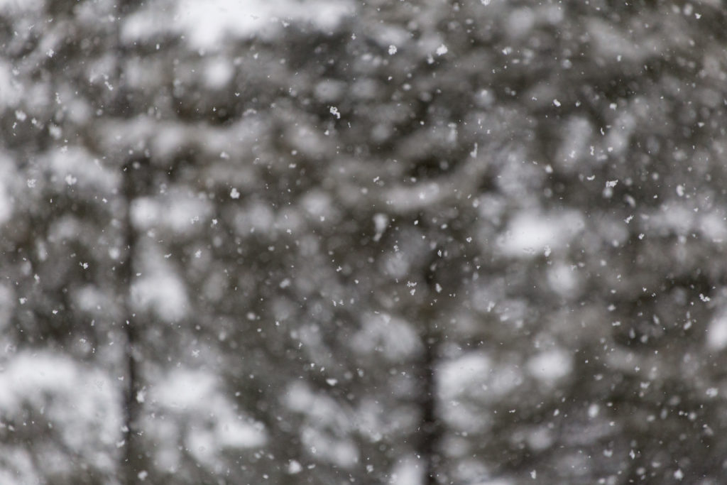 Bokeh Snowy Scene